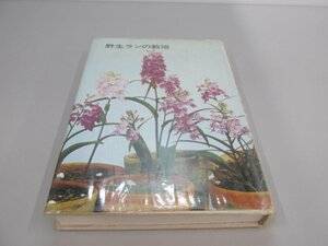 ★　【野生ランの栽培　鈴木吉五郎　誠文堂新光社 昭和53年】161-02307