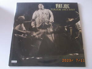 Fat Joe - Jealous One's Envy : DJ Premier . Diamond D 等 参加