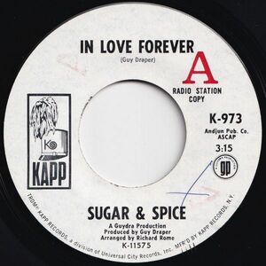 Sugar & Spice In Love Forever / In Love Forever Kapp US K-973 202984 SOUL ソウル レコード 7インチ 45