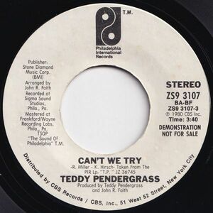 Teddy Pendergrass Can't We Try Philadelphia International US ZS9 3107 203065 SOUL ソウル レコード 7インチ 45