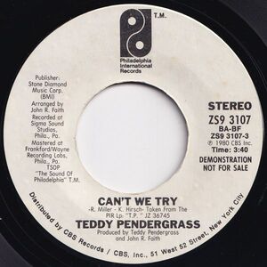 Teddy Pendergrass Can't We Try Philadelphia International US ZS9 3107 203065 SOUL ソウル レコード 7インチ 45