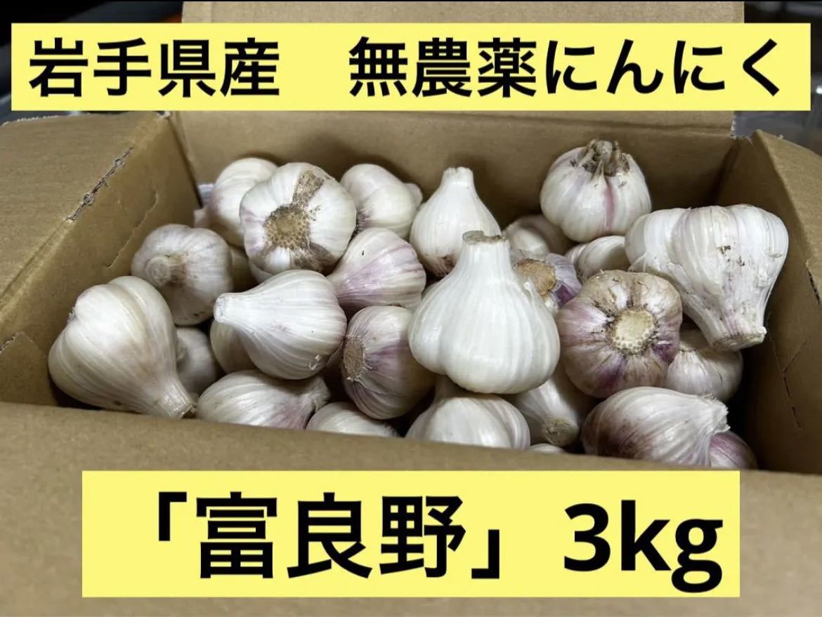 割引セット - 岩手県産 無農薬乾燥わらび 1キロ - 海外モデル:6007円
