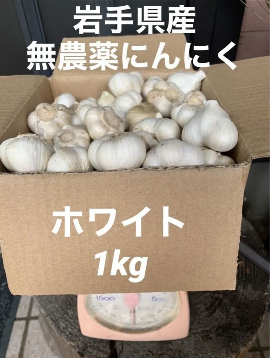 割引セット - 岩手県産 無農薬乾燥わらび 1キロ - 海外モデル:6007円