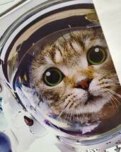 ブリキ看板　HANAKO　レトロ　猫の看板　T45　茶トラ　キジトラ　SPACE CAT　猫の宇宙士　ウェルカムボード_画像4