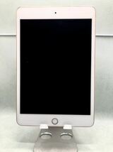 iPad mini 第５世代　wifi+Cellular 256GB_画像4