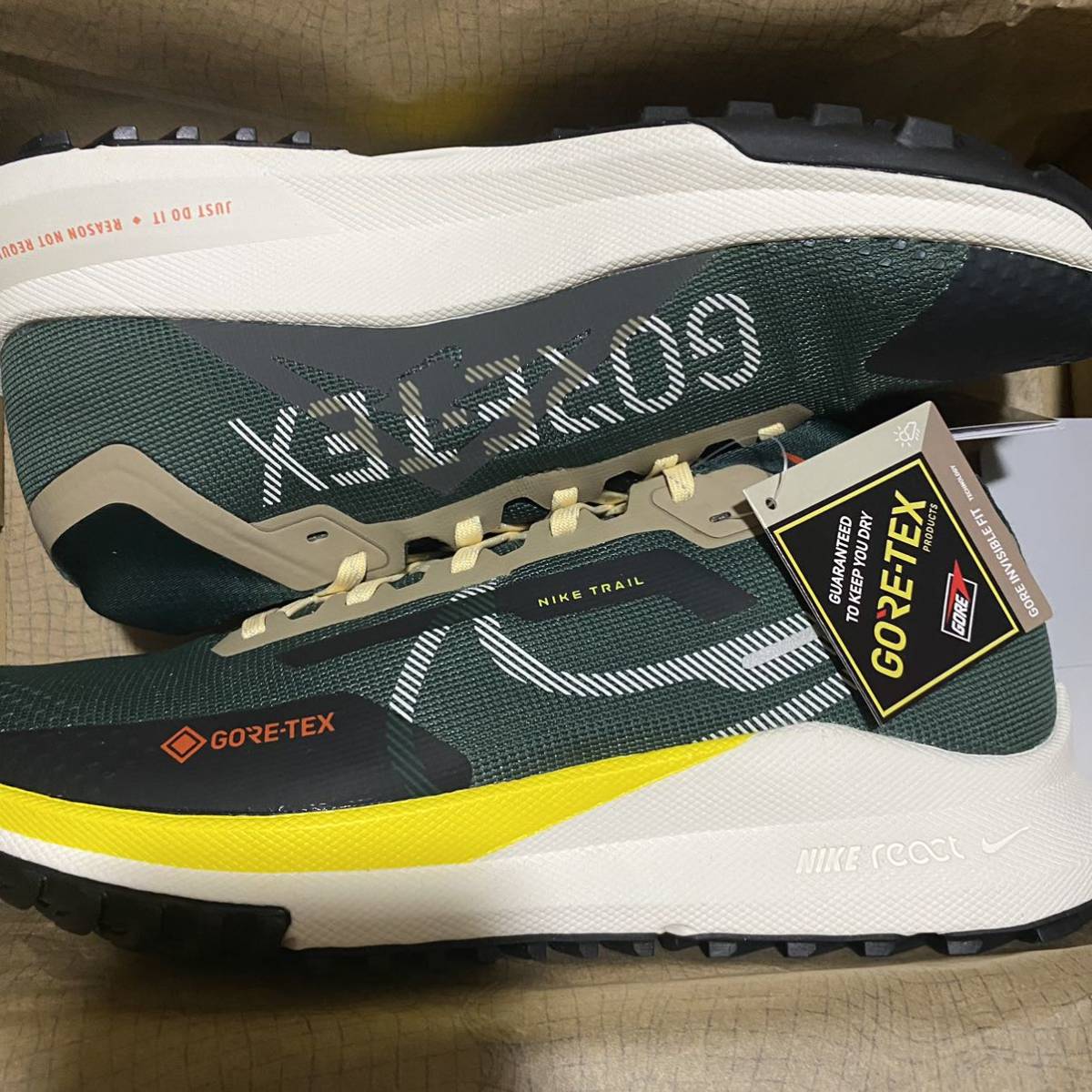 28.0cm 新品未使用 NIKE PEGASUS TRAIL 4 GTX GORE-TEX ナイキ