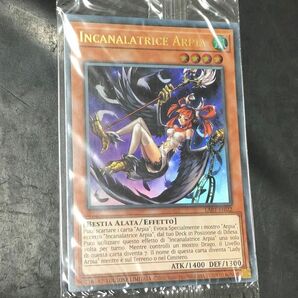 遊戯王 ハーピィ・チャネラー　英語　未開封　LART