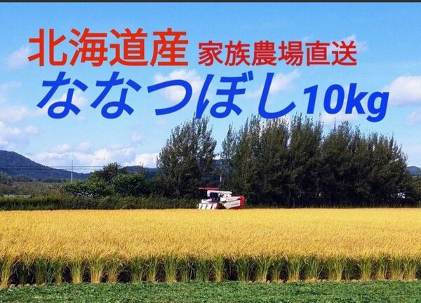 北海道産　農家直送 新米 米 ななつぼし　10kg（精米9kg）