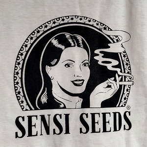 送込 SENSI SEEDS センシシード　アムステルダム　 半袖Tシャツ 白　Mサイズ