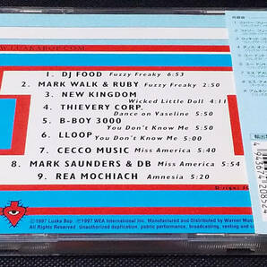 David Byrne - [帯付] The Visible Man 国内盤 CD WEA Japan - WPCR-2085 デヴィッド・バーン 1998年 Talking Heads, トーキング・ヘッズの画像2