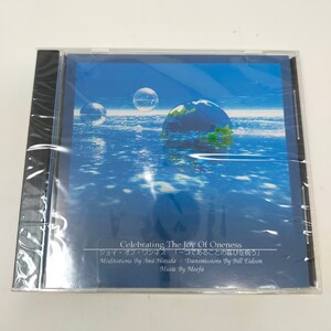 ●未開封●Celebrating The Joy Of Oneness ジョイ・オブ・ワンネス アルバム CD トランスミッション キャッスルイン・ザ・スカイ　S