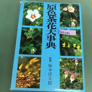 G02-039 原色茶花大事典　監修　塚本洋太郎　報筆　庵原遜　鈴木基夫　立花吉茂　津田秀樹　麓次郞　村田源　淡交社　正誤表付