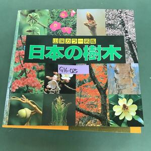 G16-025 山渓カラー版名鑑　日本の樹木　山と渓谷社　表紙破れ有り