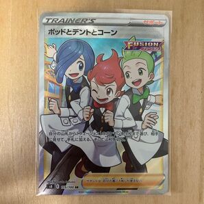 ポッドとデントとコーン SR 美品