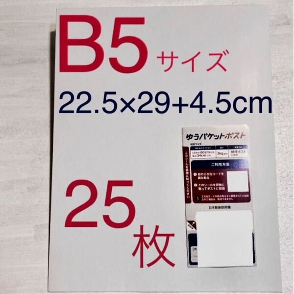 新品 B5 ビジネスレターケース 25枚 厚紙封筒