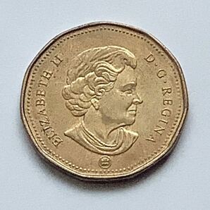 【希少品セール】カナダ エリザベス女王肖像デザイン 1ドル硬貨 2007年 1枚の画像1
