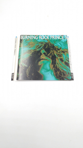 CD ＢＵＲＮＩＮＧ　ＲＯＣＫ　ＰＲＩＮＣＥ３ ソフトケース