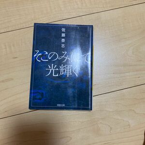 そこのみにて光輝く （河出文庫　さ２４－１） 佐藤泰志／著