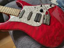 最終値下【2011年製】James Tyler SE usa フルオプション　検　suhr tom anderson sadowsky custom audio cae caj mesa bogner_画像1