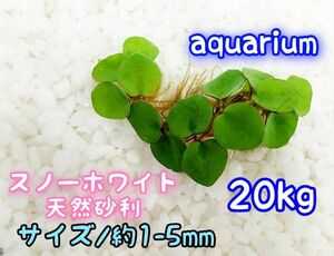 スノーホワイト 天然 砂利1-5mm 20kg アクアリウム メダカ 熱帯魚 グッピー レイアウト