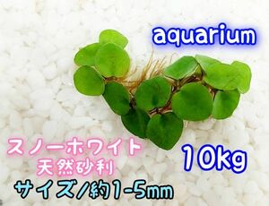 スノーホワイト 天然 砂利1-5mm 10kg アクアリウム メダカ 熱帯魚 グッピー レイアウト