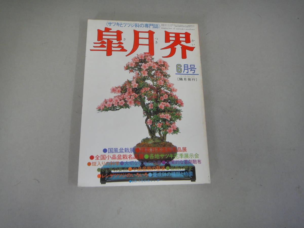 2023年最新】ヤフオク! -国風盆栽展の中古品・新品・未使用品一覧