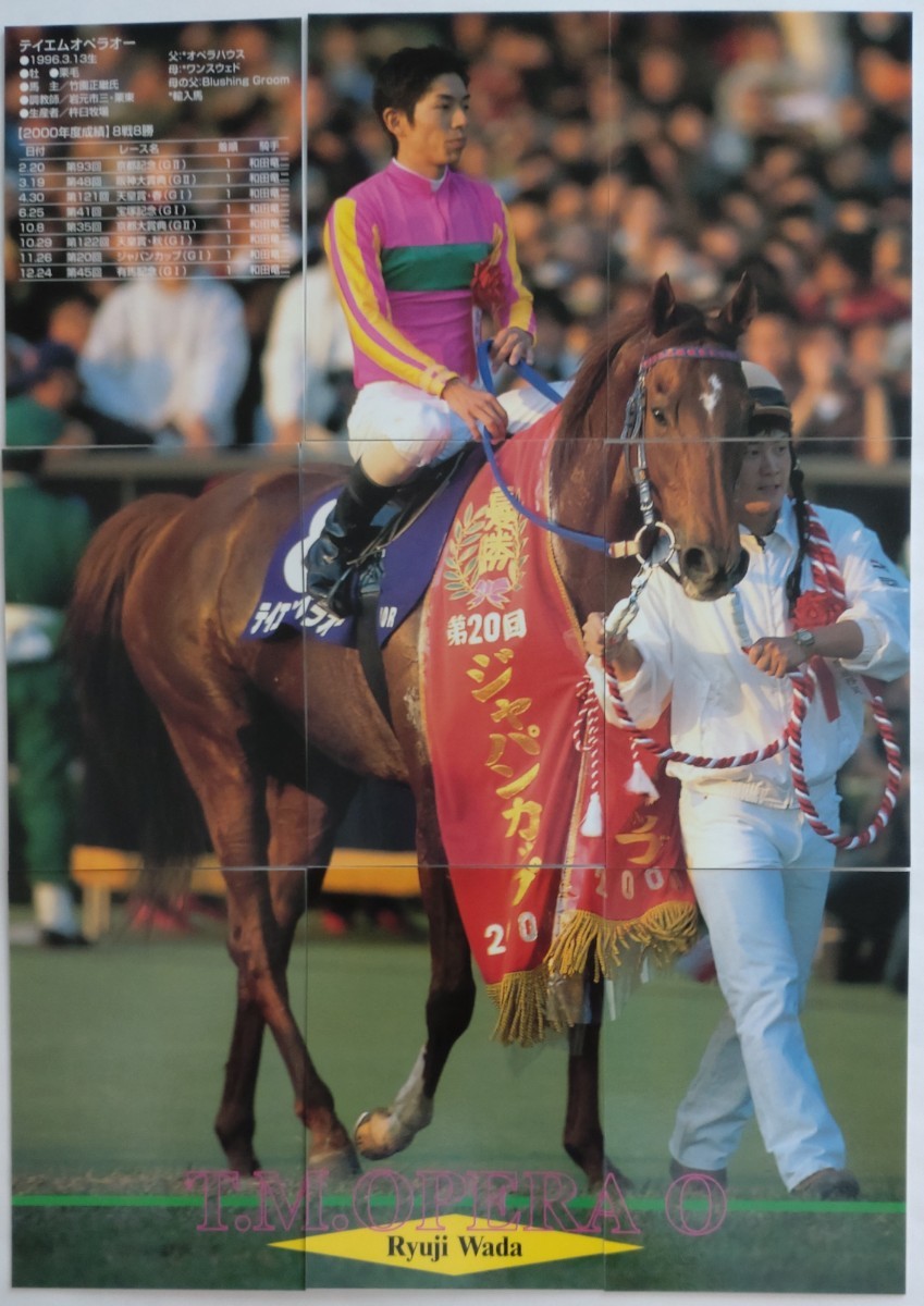 2023年最新】ヤフオク! -テイエムオペラオー カードの中古品・新品・未