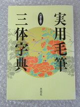 実用 毛筆 三体字典/川原玄雲/木耳社/2001年/絶版 稀少_画像1