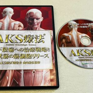 限定sale/即決【購入者限定販売品/送料無料】AKS療法 腰下肢痛への治療戦略と梨状筋の筋細胞リリース 山内義弘/手技 整体 理学療法士4