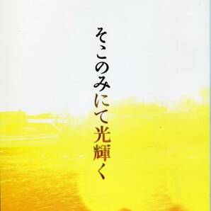 そこのみにて光輝く パンフ&チラシ★綾野剛 菅田将暉 池脇千鶴 ★映画 パンフレット フライヤー セット★aoaoyaの画像1