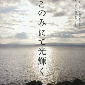 そこのみにて光輝く パンフ&チラシ★綾野剛 菅田将暉 池脇千鶴 ★映画 パンフレット フライヤー セット★aoaoyaの画像2