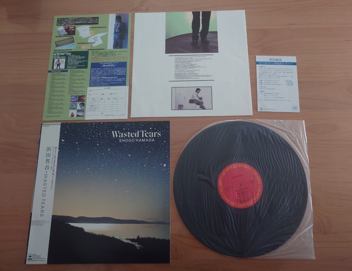 浜田省吾⭐️初夏の頃【完全限定生産アナログ盤】稀少LPレコード 新品