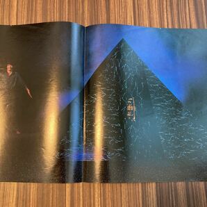 美盤 LP/日野皓正「ピラミッド(1982年・DAVID SANBORN・DON ALIAS・ALAN RUBIN (BLUES BROTHERS BAND)の画像4