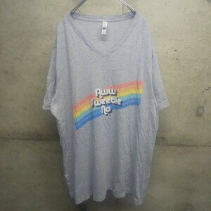 US古着 Tシャツ 2XL ビッグサイズ オーバーサイズ used bella canvas