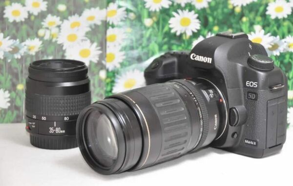 Canon キャノン EOS 5D MarkIIダブルレンズ！フルサイズ！