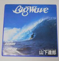 (見本盤) 山下達郎「BIG WAVE / I LOVE YOU (PARTⅠ＆Ⅱ) 」(シングル) 映画「ビッグウェイブ」優待割引券 付_画像3