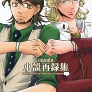 TIGER＆BUNNY同人誌 cassis小説再録集 バーナビー×虎徹　小説P248