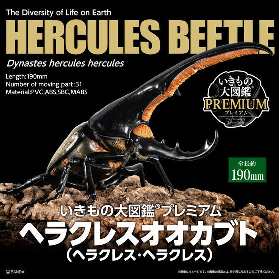 ヤフオク! -「ヘラクレスオオカブト」(生き物) (フィギュア)の落札相場