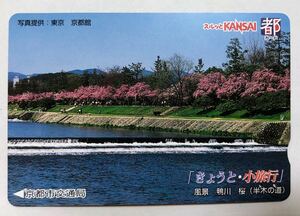  Surutto KANSAI capital card *....* small travel half tree. road Kamogawa *. shidare cherry * Kyoto city traffic department 