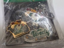 即決　読売ヴェルディ　ピンバッチ　キーホルダー　YOMIURI Verdy 非売品 レア 未使用 未開封 マクドナルド　サッカー　グッズ29_画像2