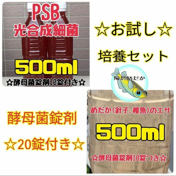 メダカの餌(めだかの針子や稚魚のえさ) 500ml＆PSB 光合成細菌500ml【陽悠めだか】