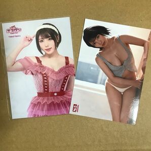 安位カヲル 生写真 DVD 特典 / グラビアアイドル チェキ セクシー女優 キャンペーン