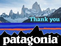 送料格安スピード発送！新品未使用★Patagoniaパタゴニアダックビルトラッカーキャップ③★ALLサイズ登山トレランマラソントレッキング_画像9