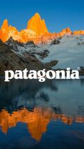 送料格安スピード発送！新品未使用★Patagoniaパタゴニアダックビルトラッカーキャップ③★ALLサイズ登山トレランマラソントレッキング_画像10