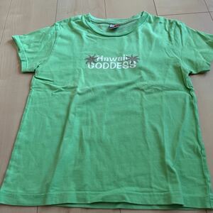 半袖Tシャツ GODDESS ホヌ カメ グリーン 140 ロゴ ハワイアン Aloha