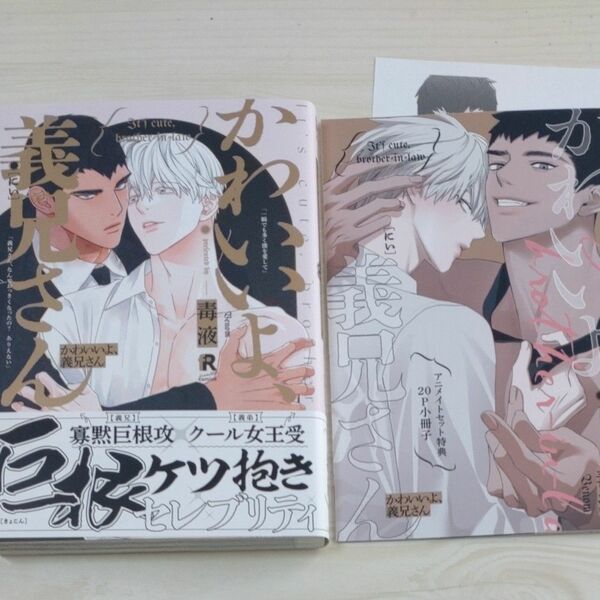 かわいいよ、義兄さん　アニメイト小冊子付き　ペーパー1枚　 BLコミック