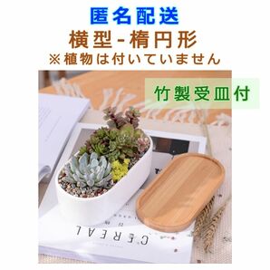 匿名配送 陶器鉢 横型 楕円形 新品 竹製受け皿付き 鉢+受皿セット 植木鉢 底穴有り 陶器