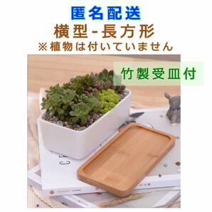 匿名配送 陶器鉢 横型 長方形 新品 竹製受け皿付き 鉢+受皿セット 植木鉢 底穴有り 陶器