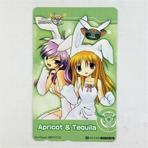 Apricot & Tequila【テレカ未使用50度数】コレクター放出品 8080_画像1