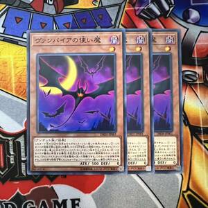 遊戯王　ヴァンパイアの使い魔　DBDS-JP001 ノーマル3枚セット